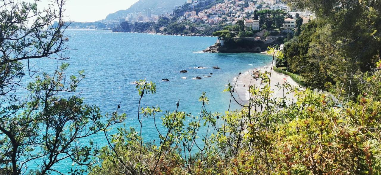 Vue Magnifique, Piscine Privee Chauffee Et Sauna A 10Min De Monaco Roquebrune-Cap-Martin Ngoại thất bức ảnh